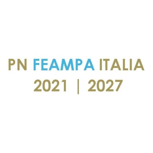 immagine del contenuto